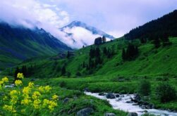 Elevit Yaylası Turu