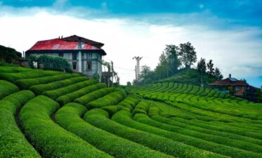 10 Aralık 20 Günlük Ekonomik Umre